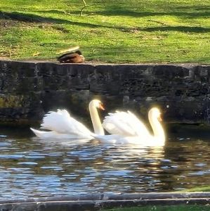 Meet your Posher, Diane